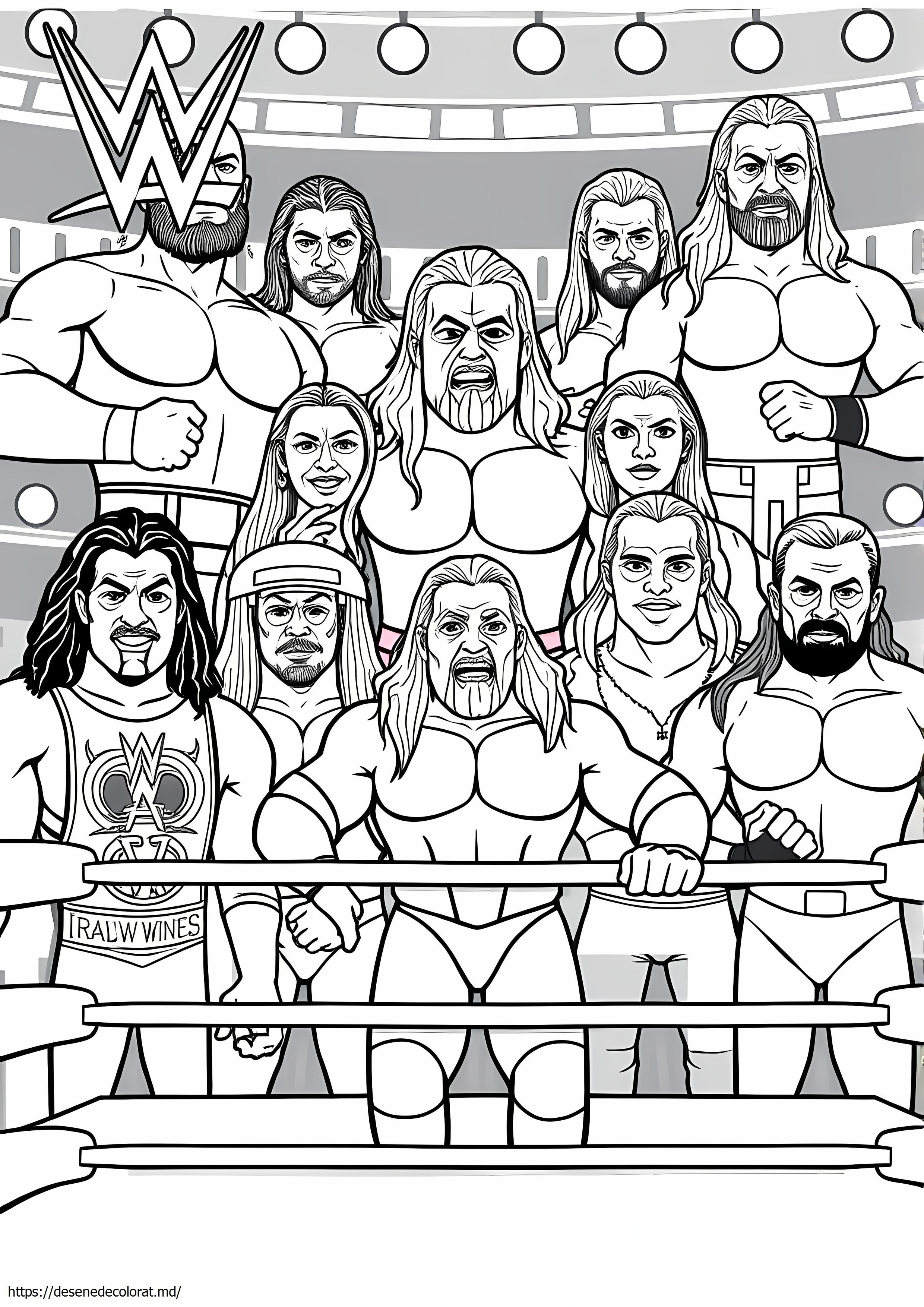 2018 wwe luptători