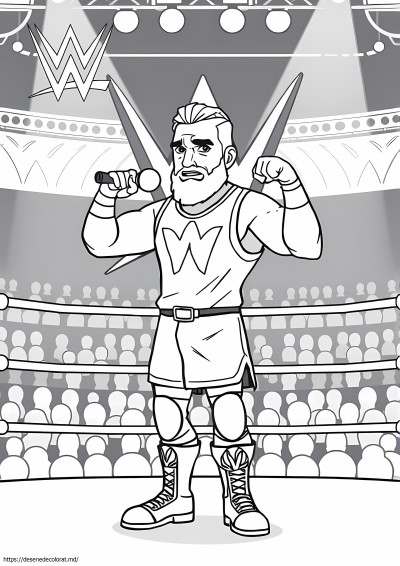 Seth rollins