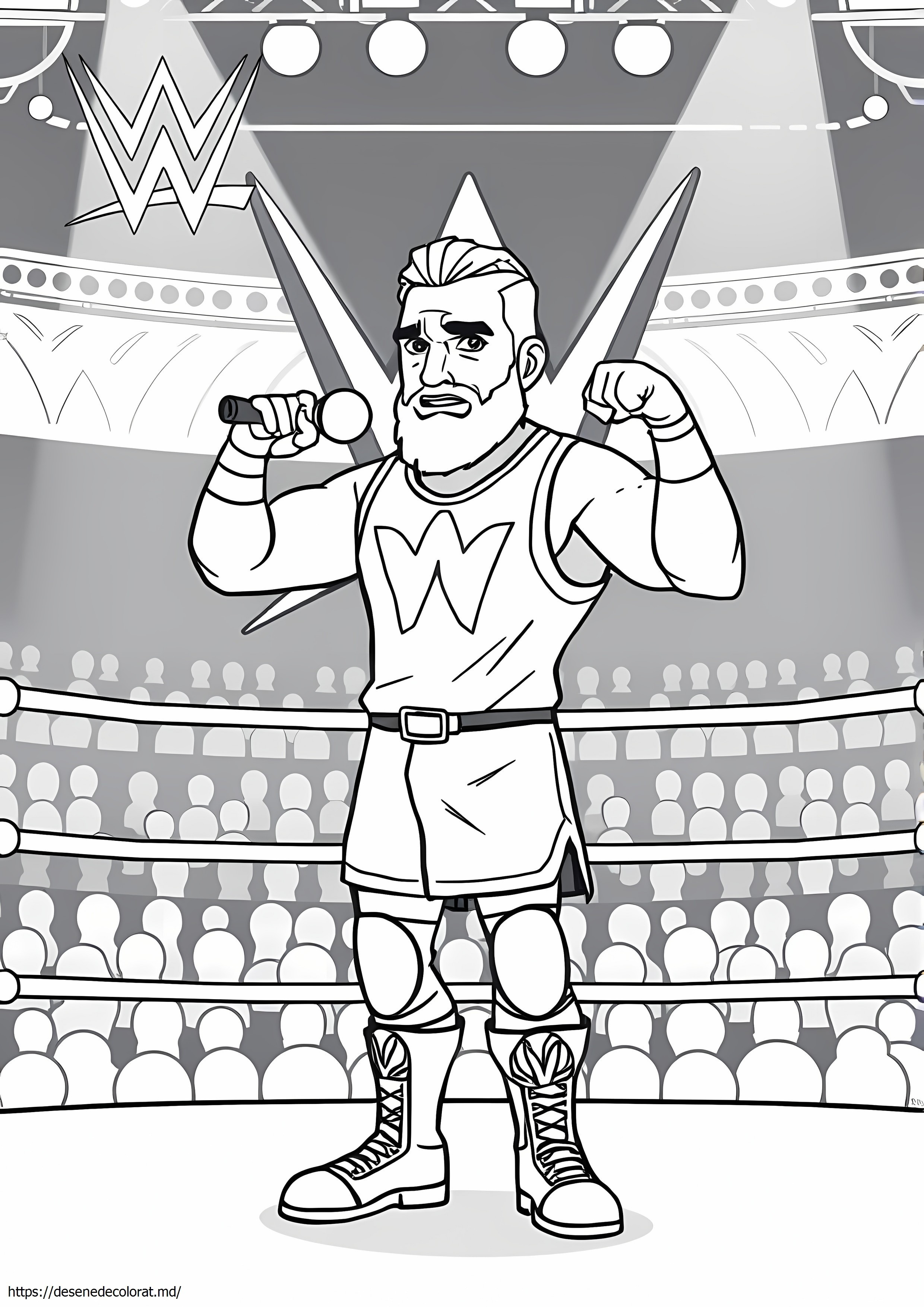 Seth rollins