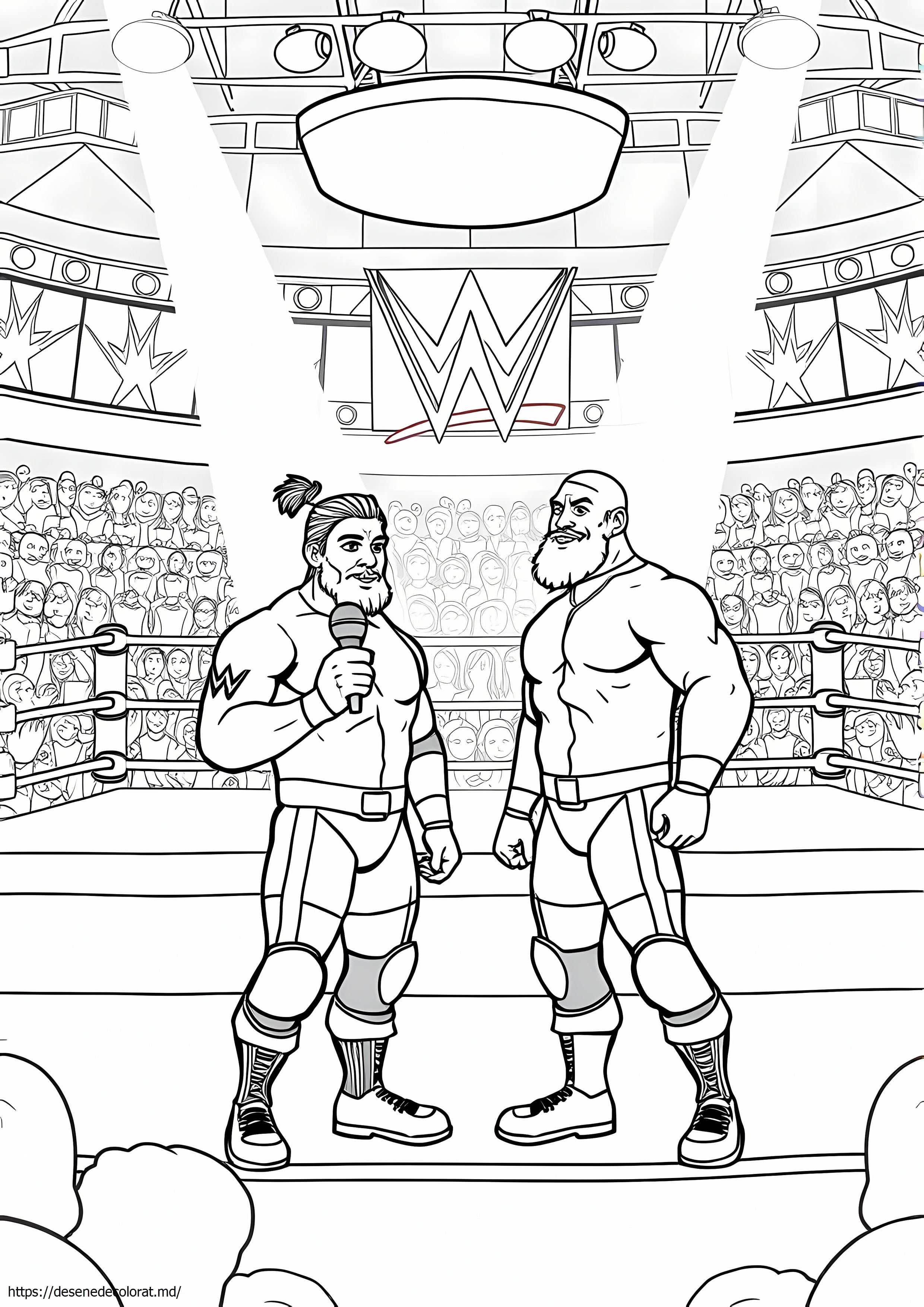 Utilizări wwe
