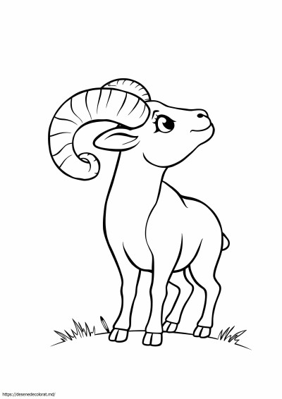 Berbec