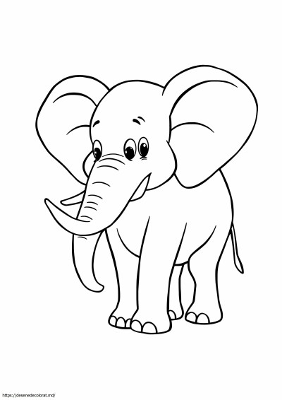 Elefant abstract