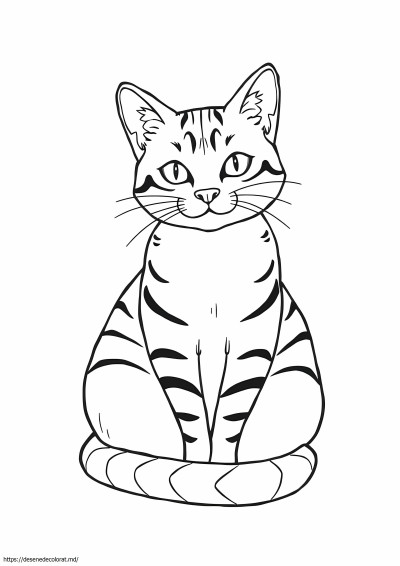 Desen realist tabby cat cat