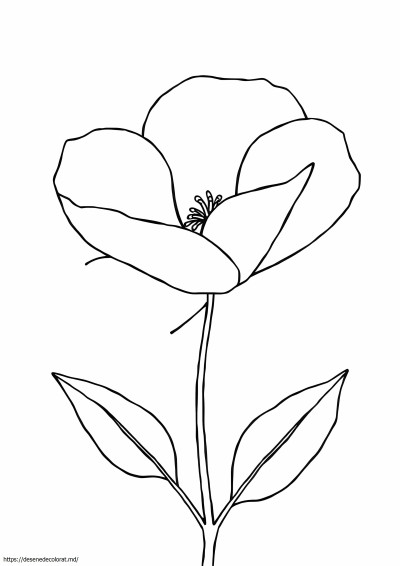Template georgia o keeffe