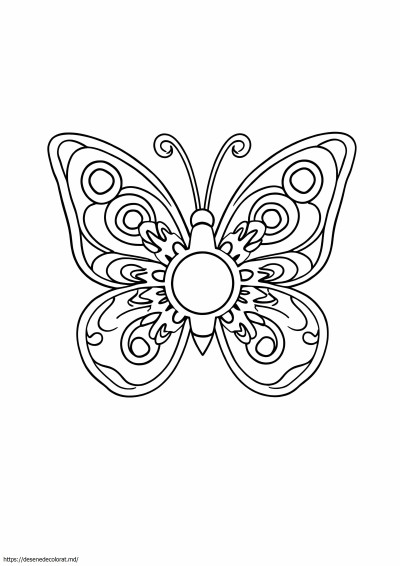 Mandala fluture usoara