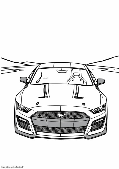 Mustang gt500 2019