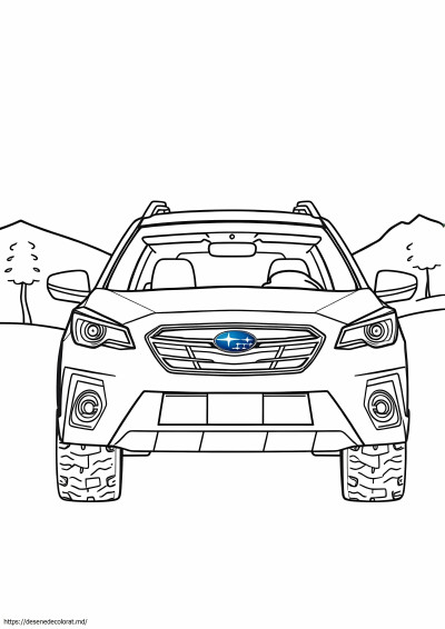 Subaru outback