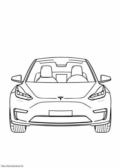 Model tesla y