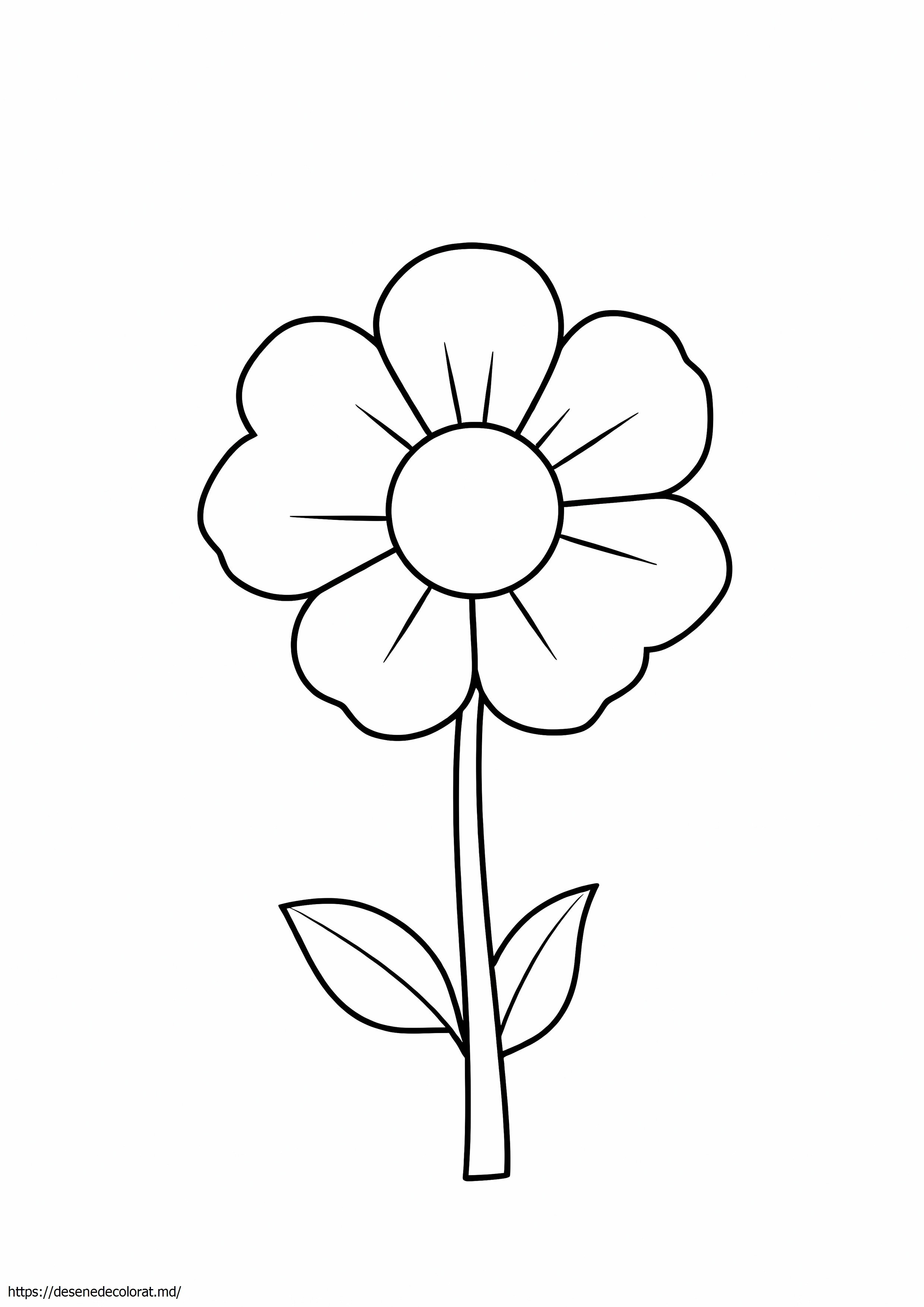 Floare de toamna