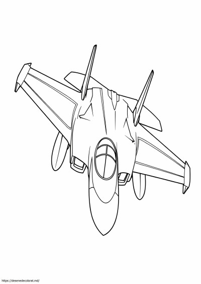 Avion de luptă super Hornet F18