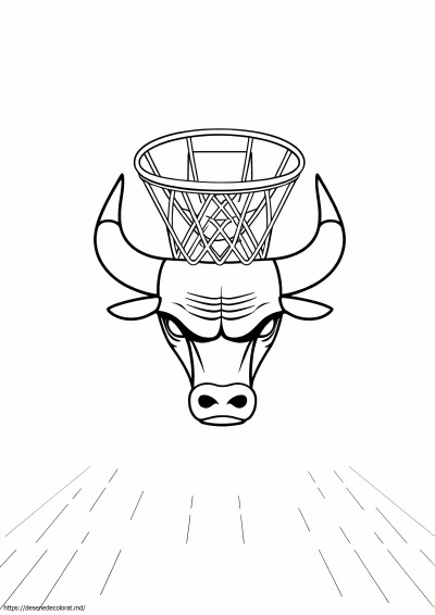 Sigla Chicago Bulls