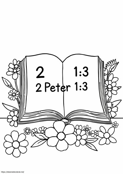 2 Petru 1 3