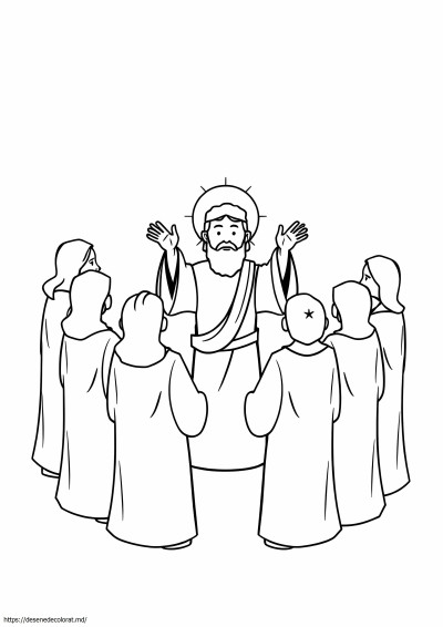 12 ucenici