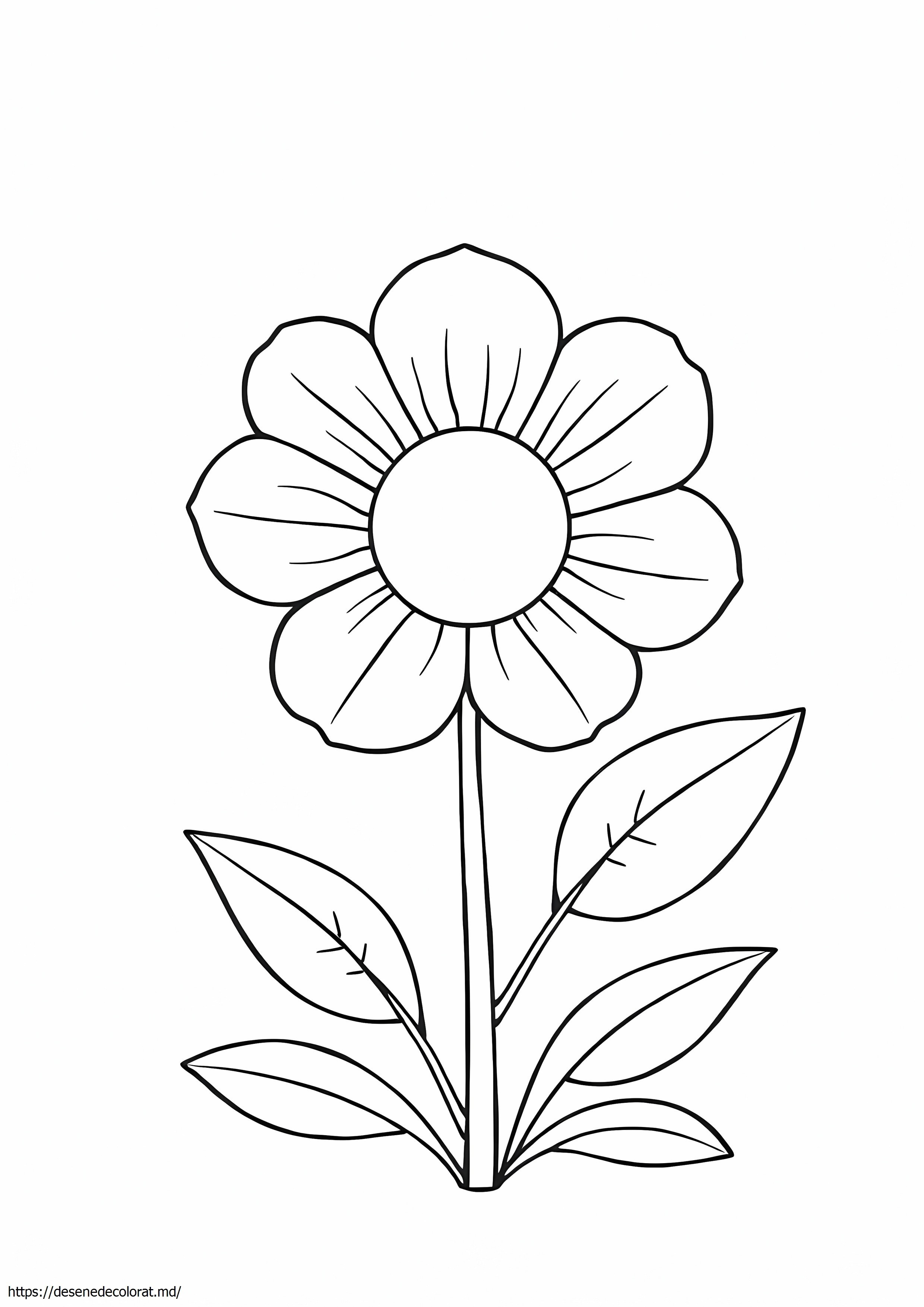 Desen estetic floare estetică