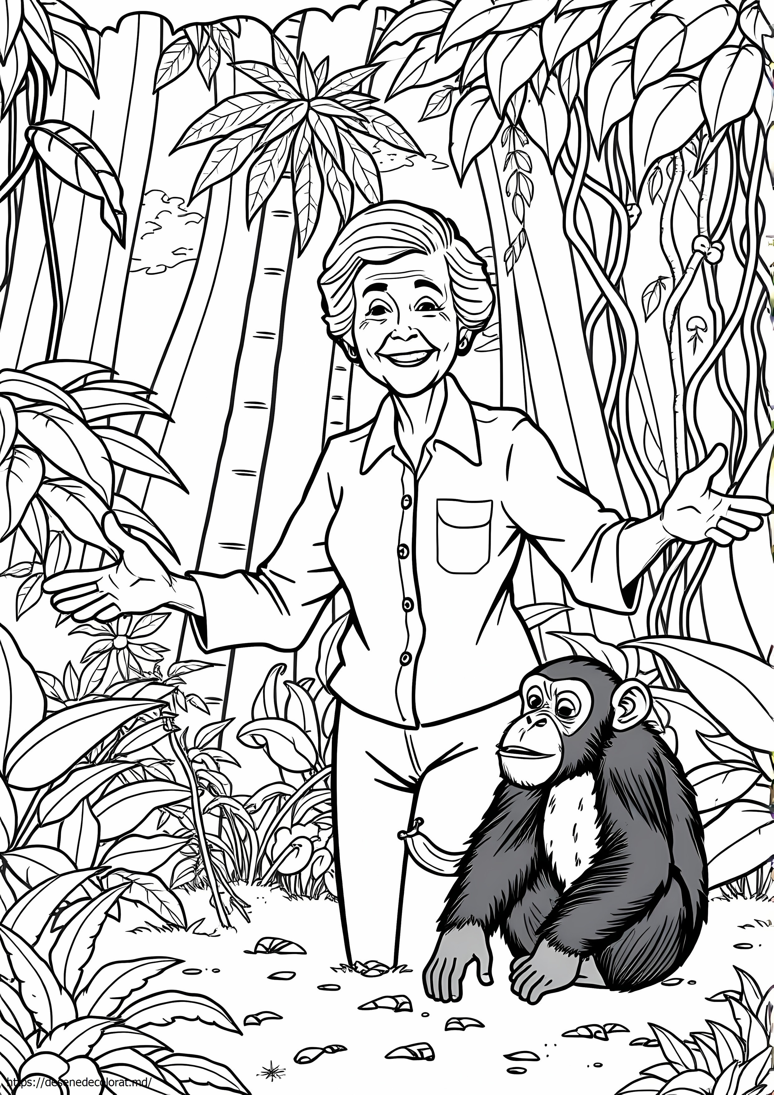 Jane goodall