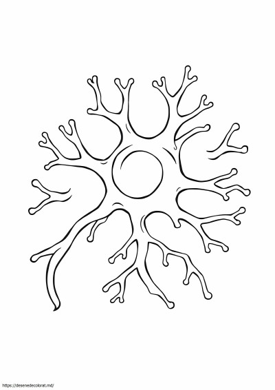Celulele nervoase