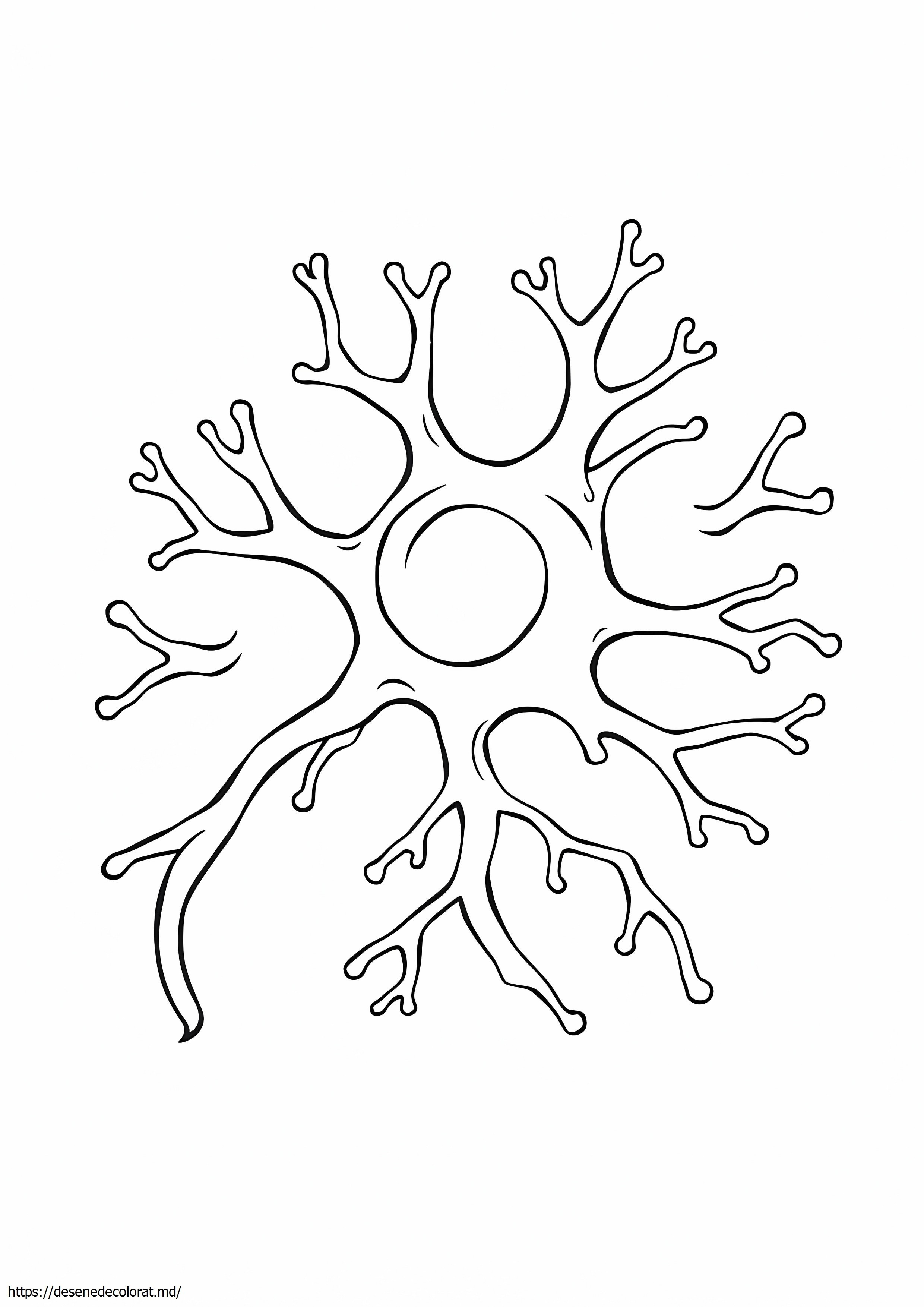 Celulele nervoase