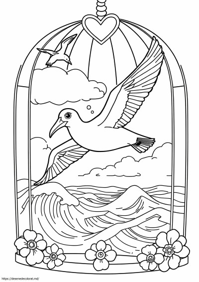 Albatros