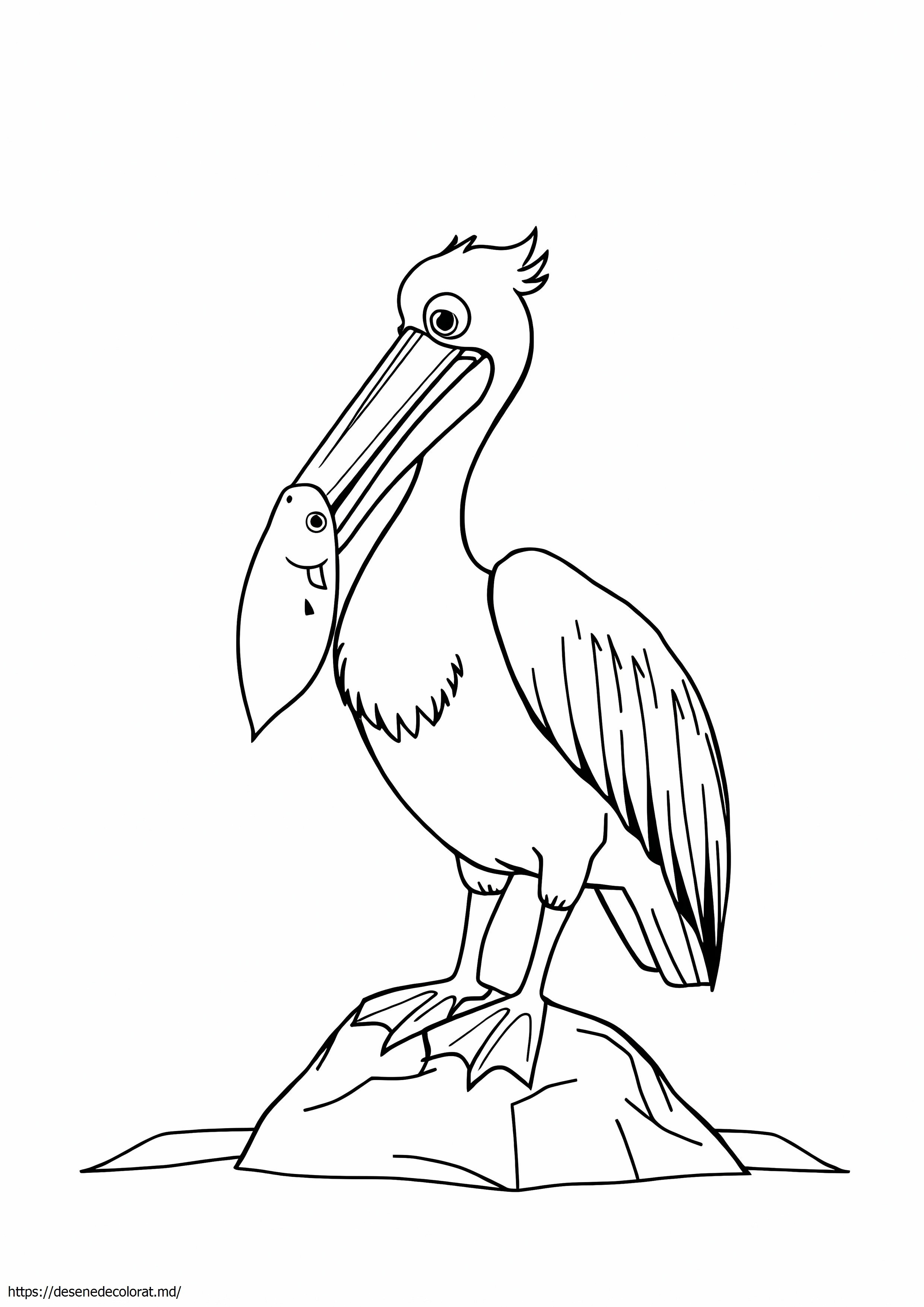 Pelican brun