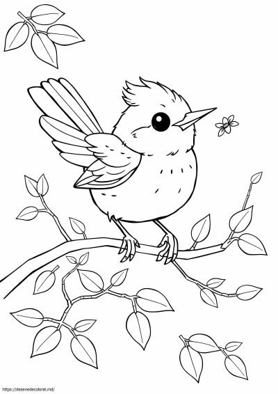 Carolina wren