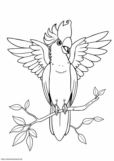 Cacadu