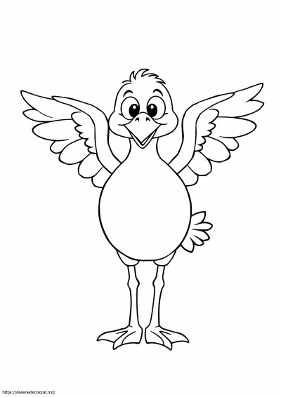 Dodo