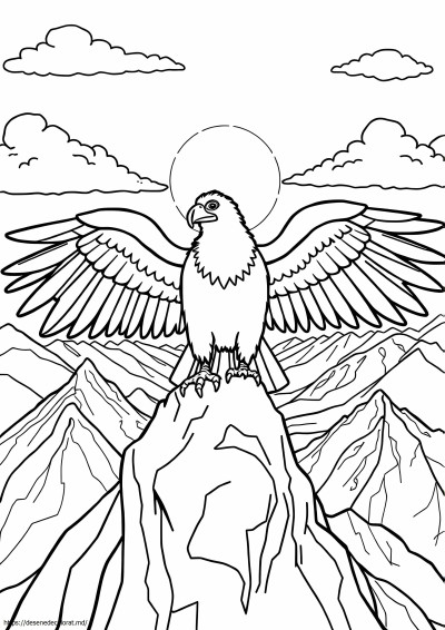 Condor