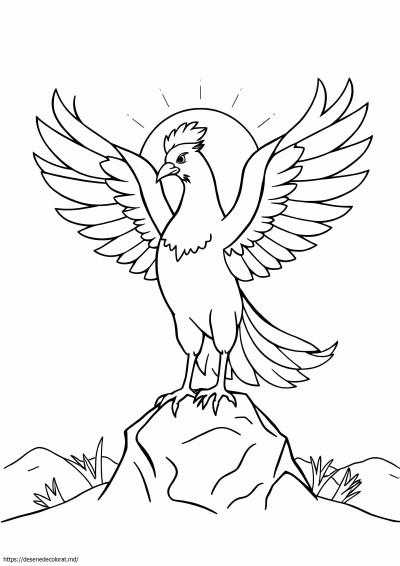 Phoenix ușor