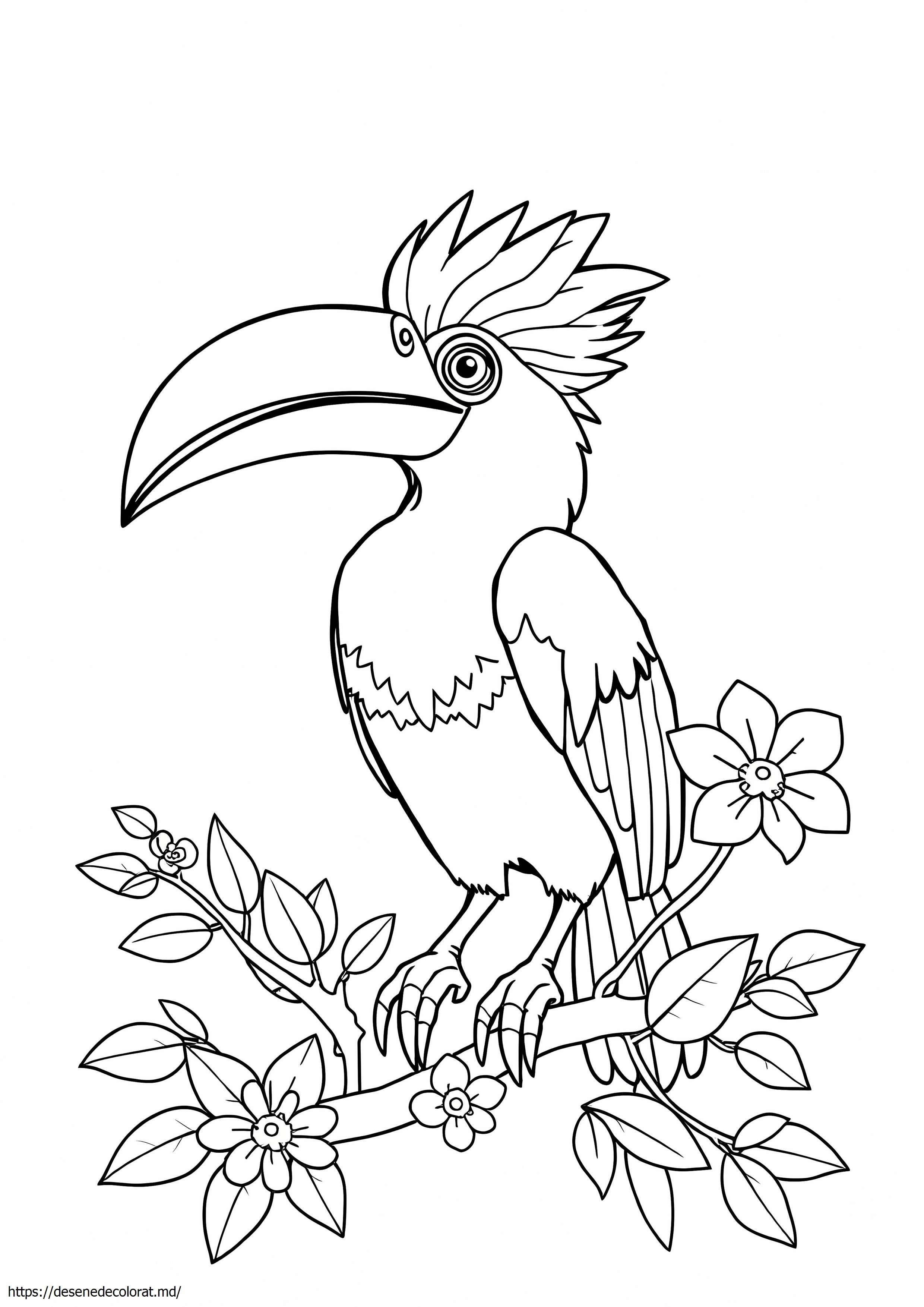 Hornbill