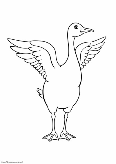 Gâscă