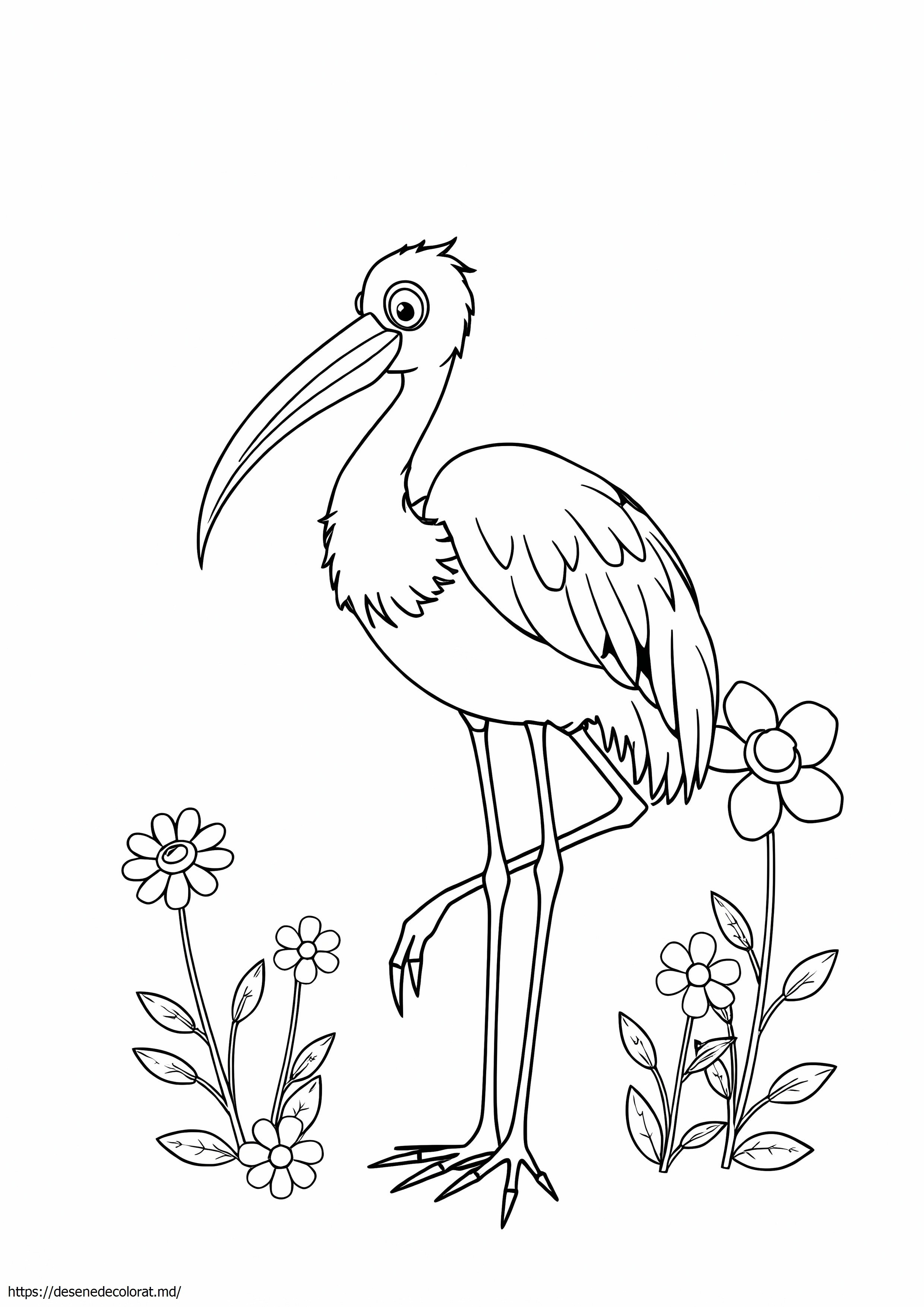 Ibis