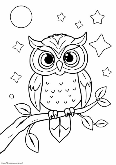 Noctowl