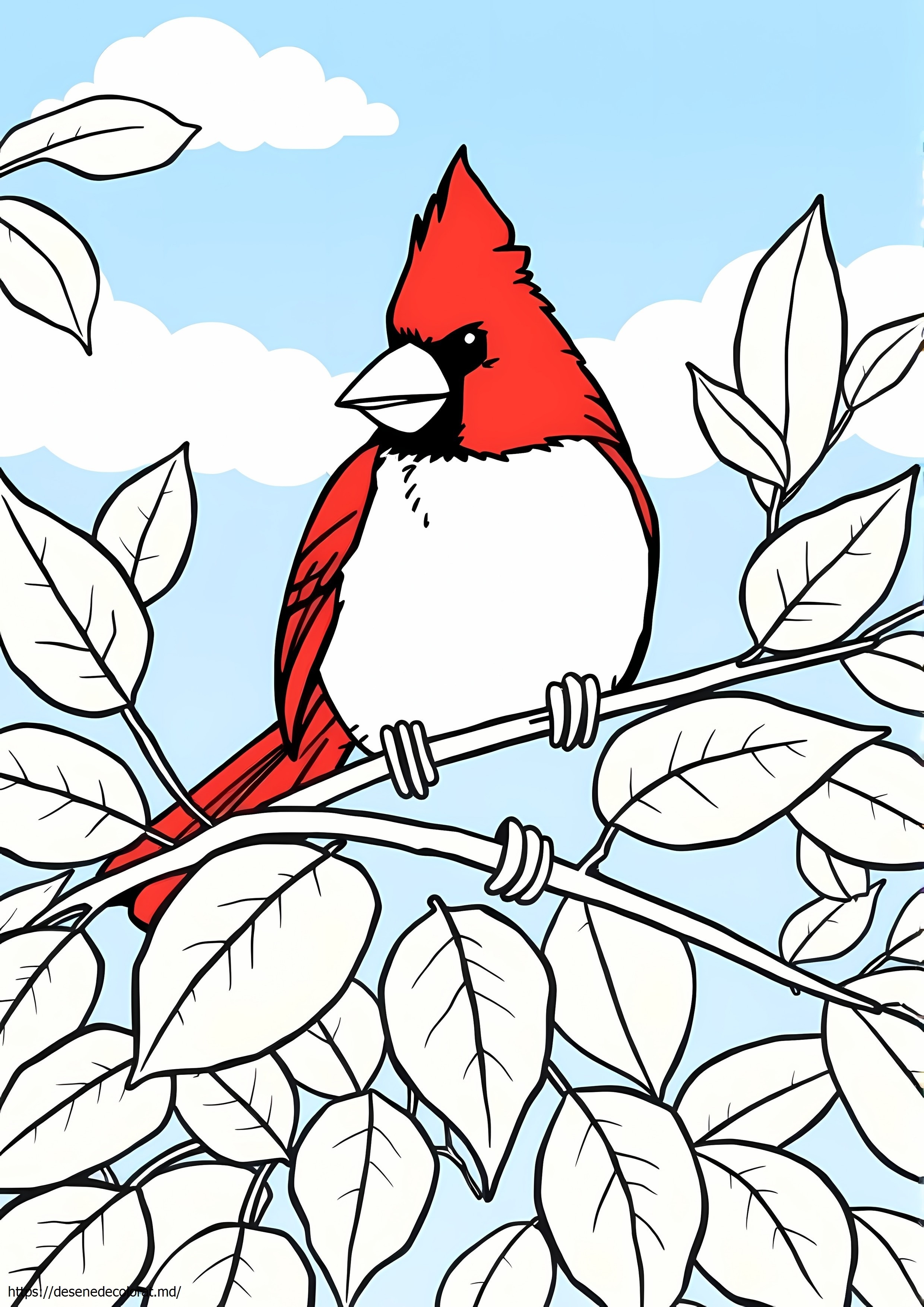 Cardinalul nordic