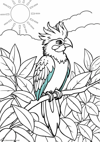 Quetzal