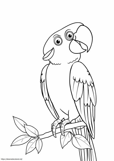Macaw realist