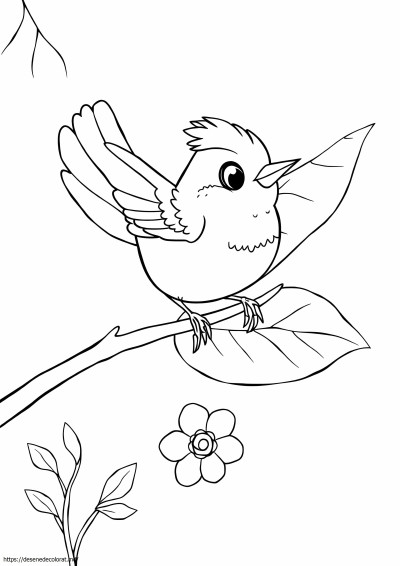 Wren