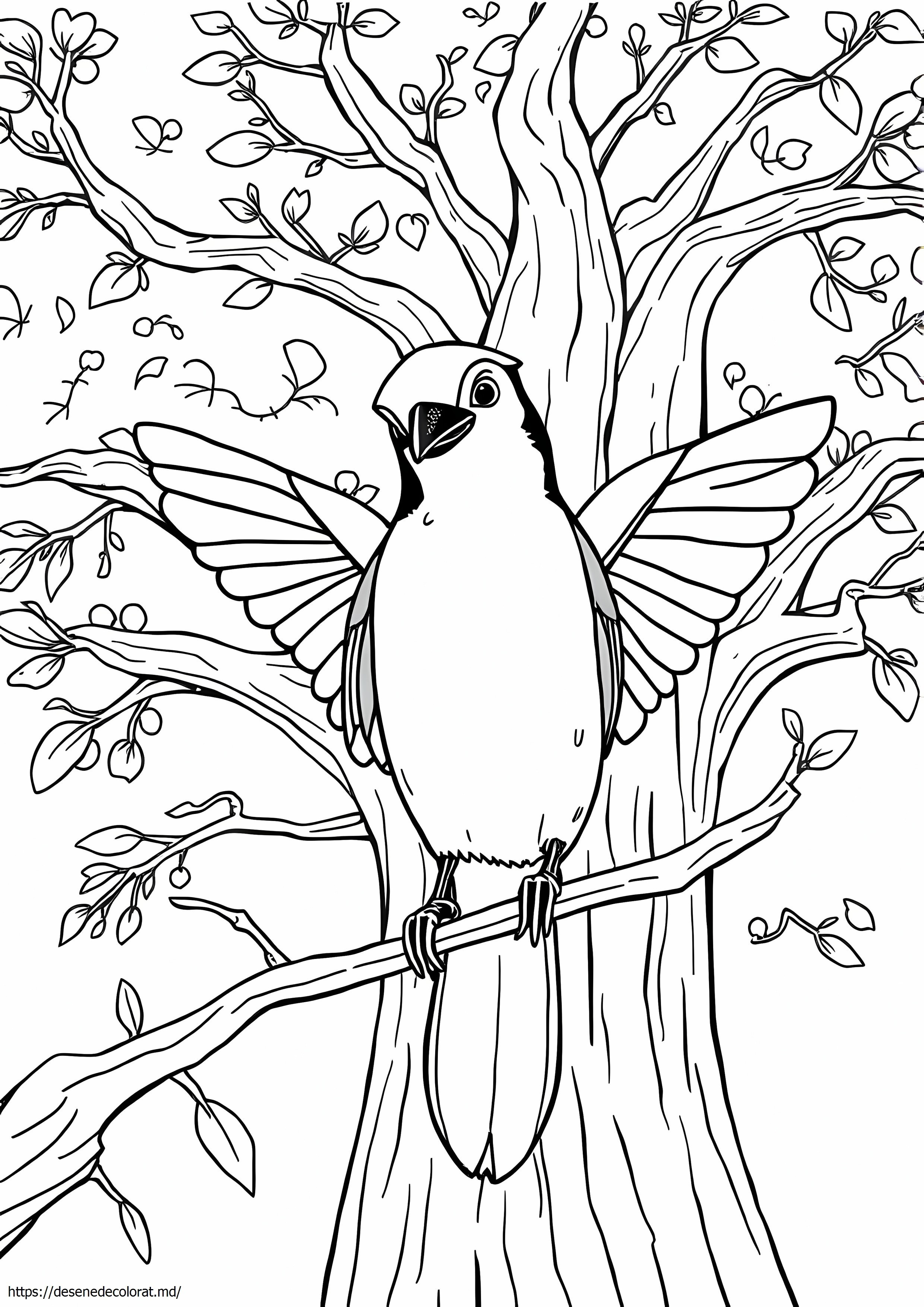Bluejay