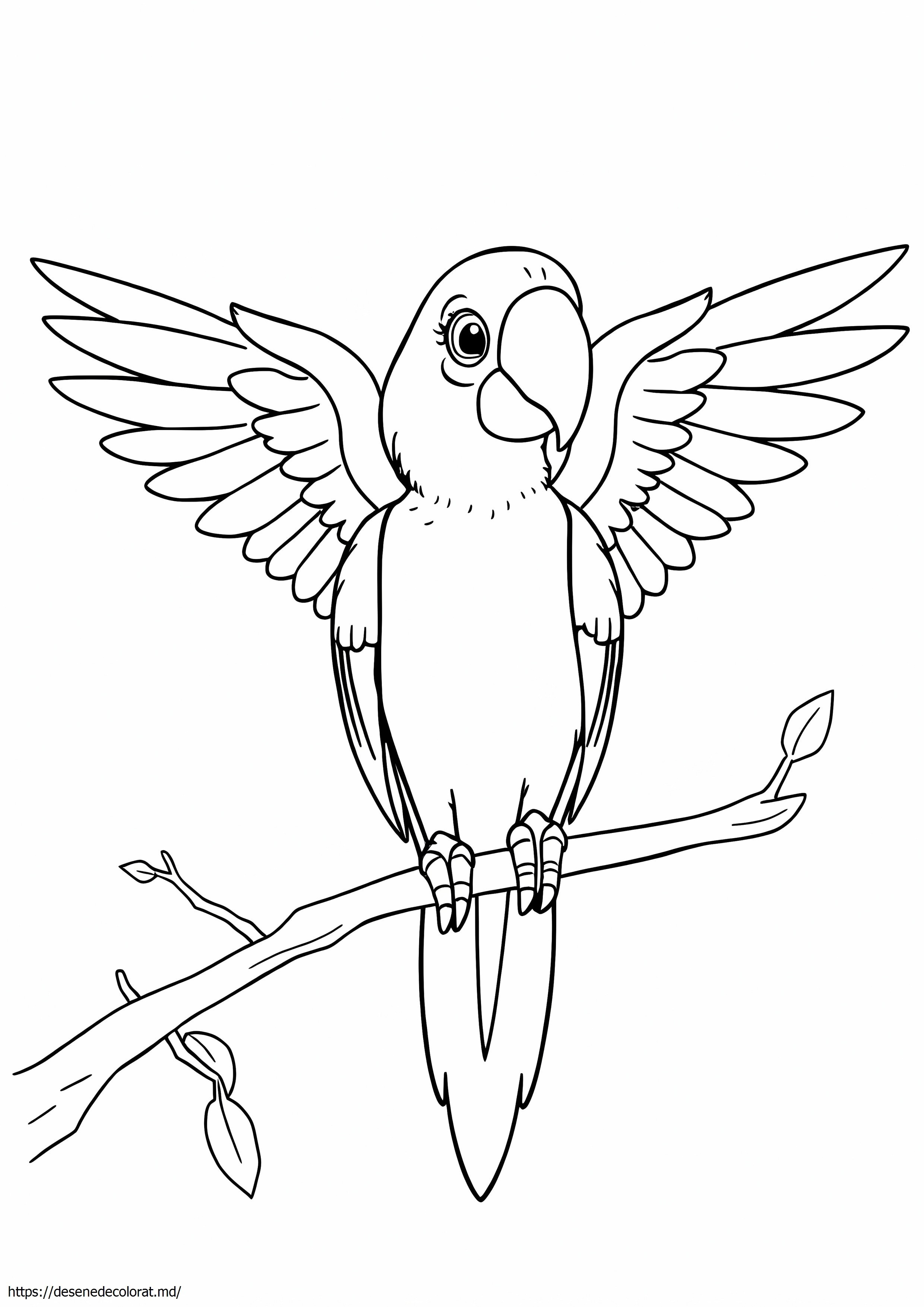 Macaw ușor