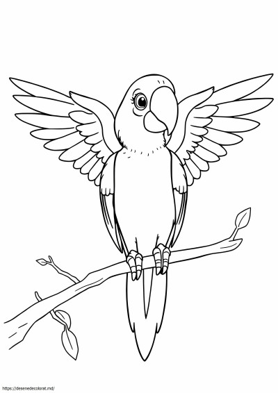 Macaw ușor