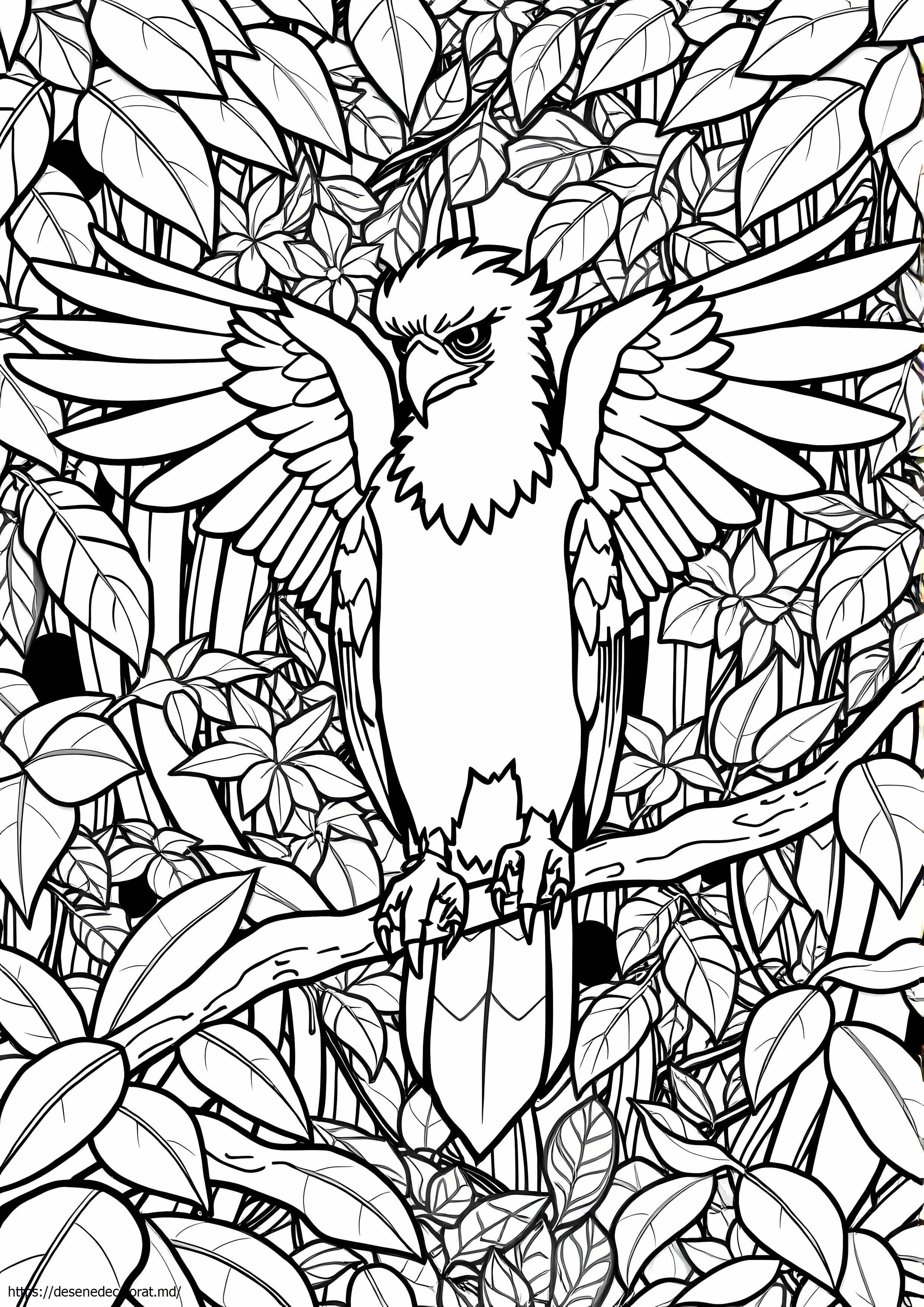 Vultur harpie