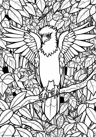 Vultur harpie