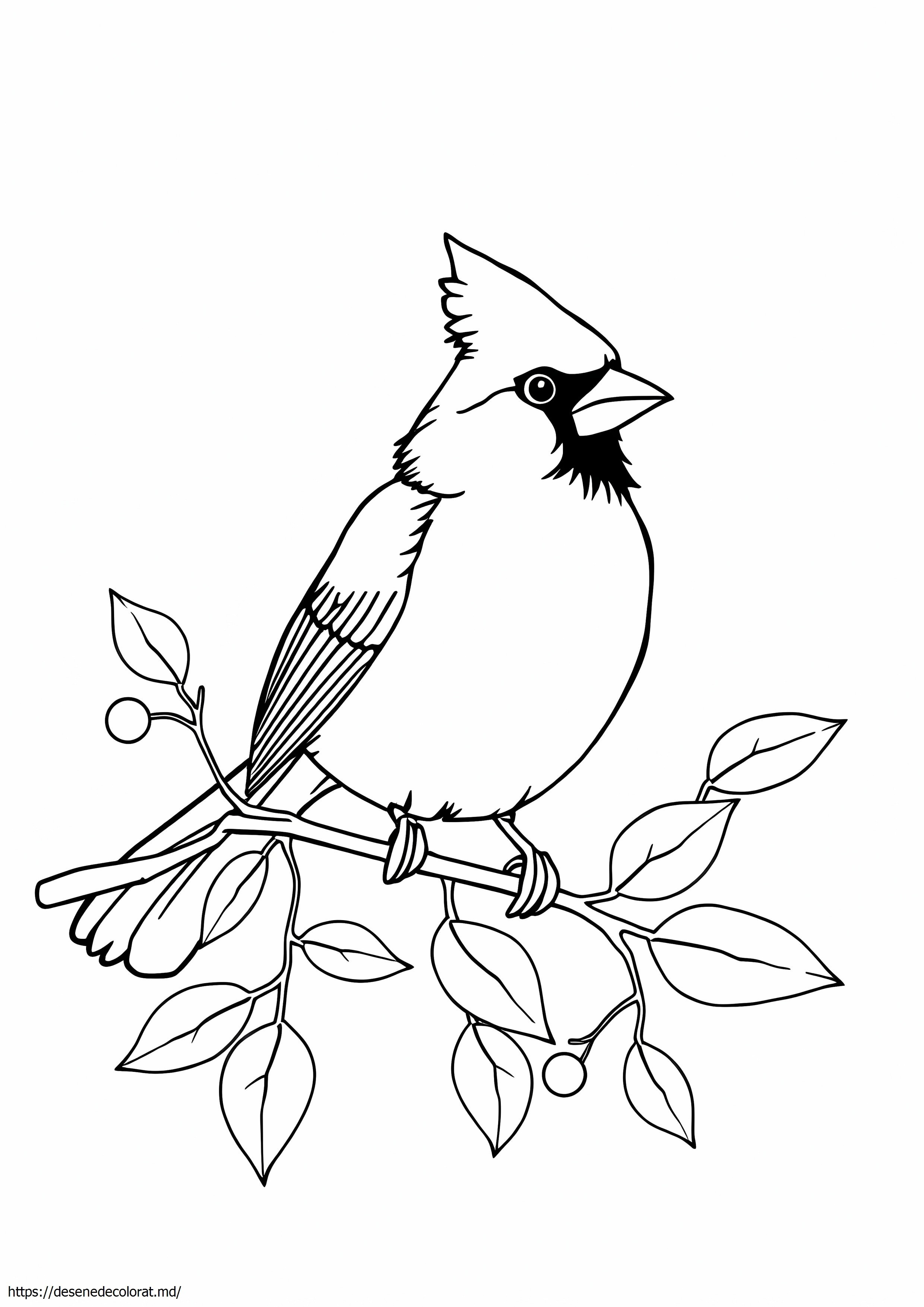 Cardinal realist