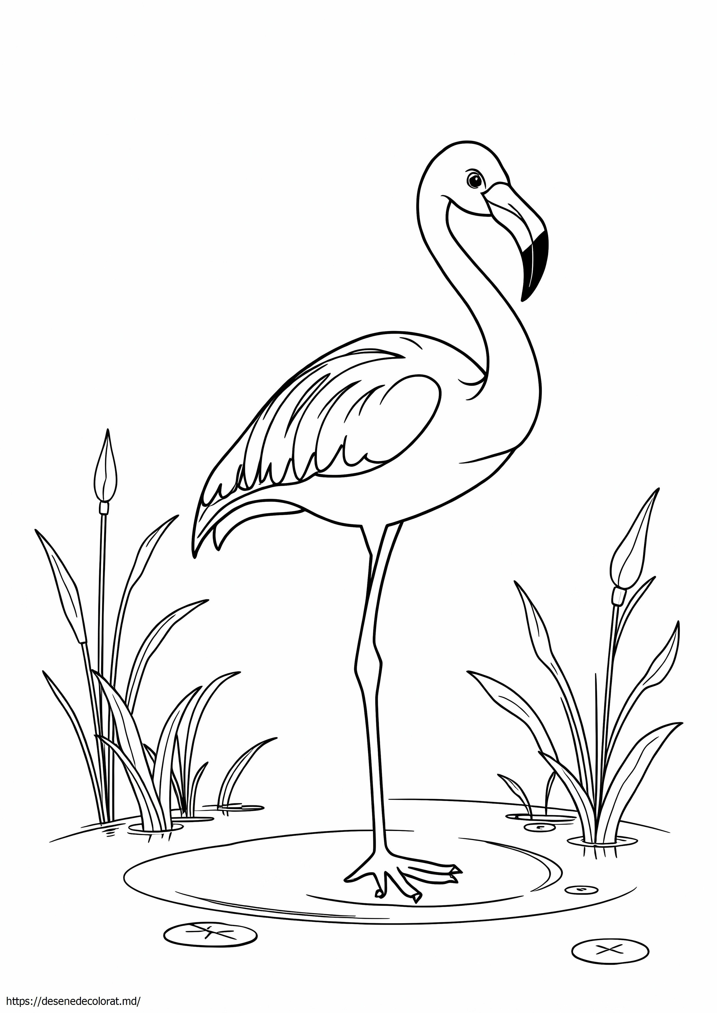 Flamingo realist