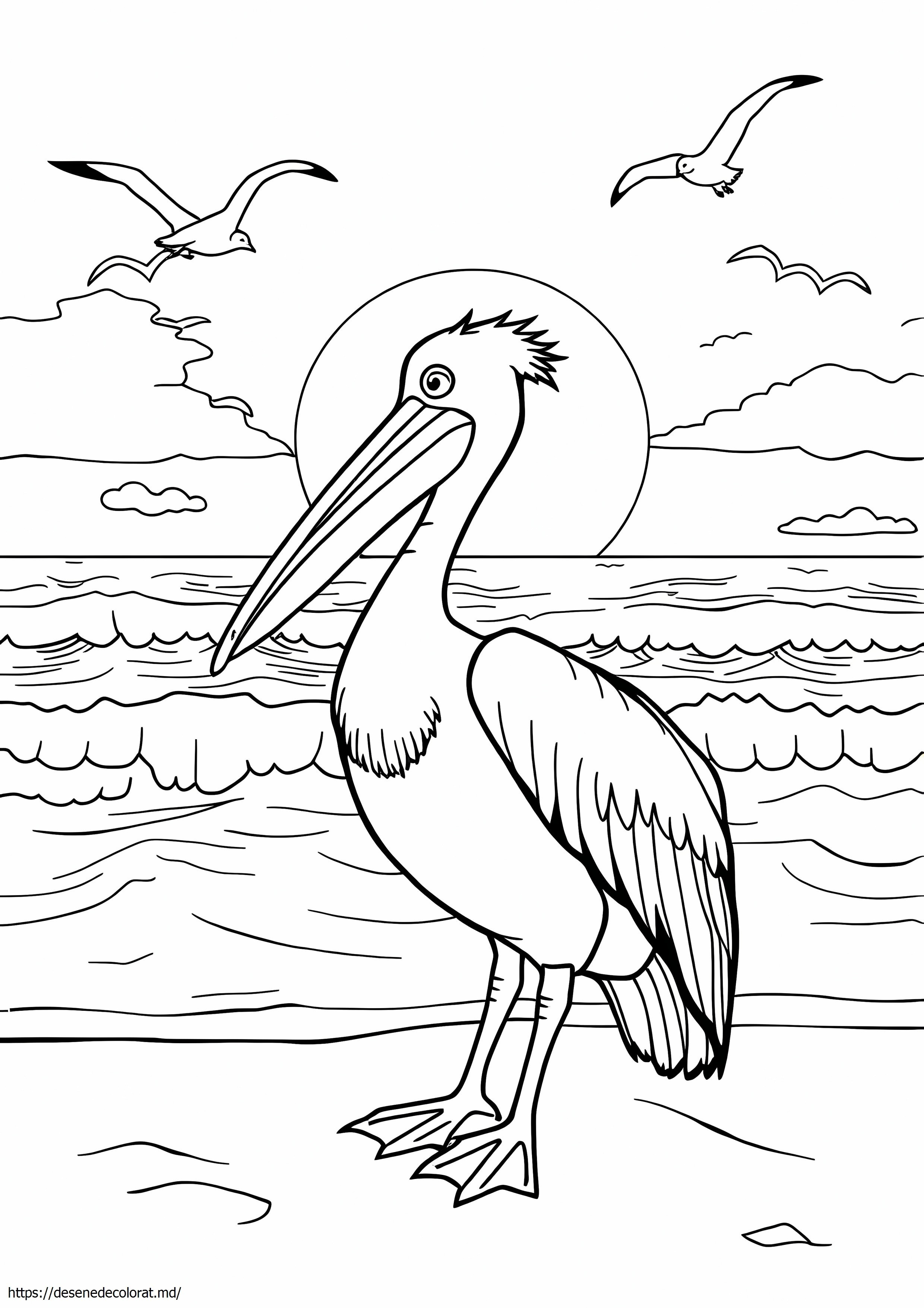 Pelican realist