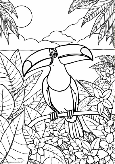 Tucan tropical