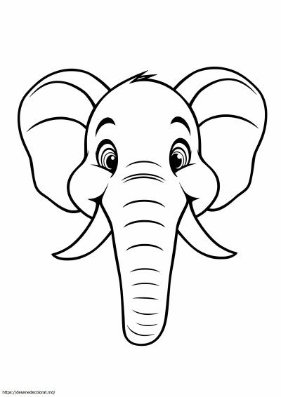 Fata de elefant