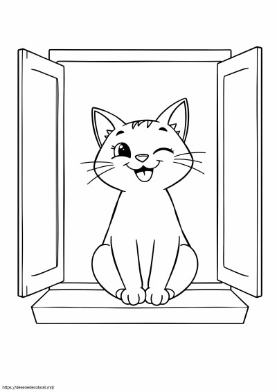 El gato