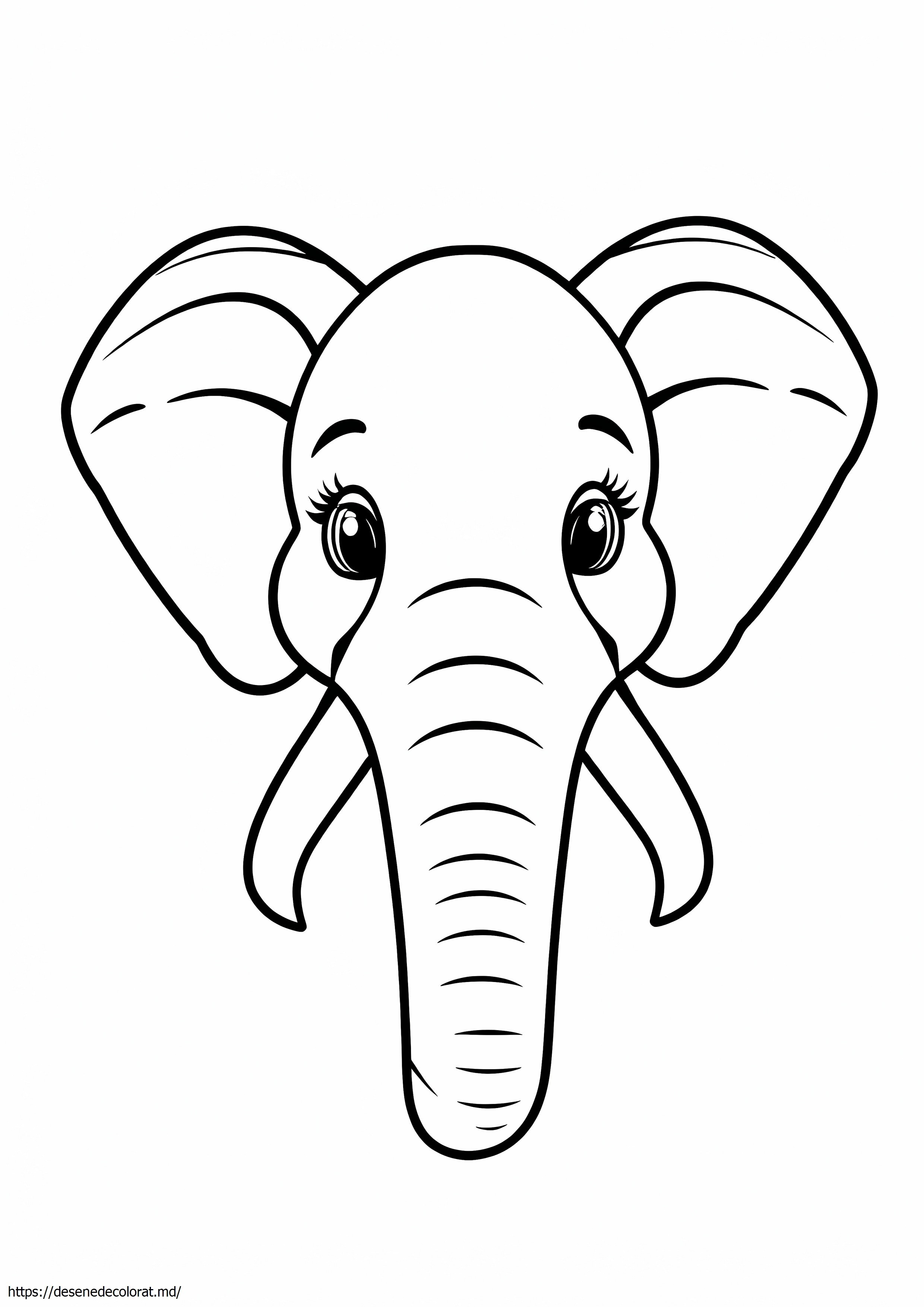 Cap de elefant