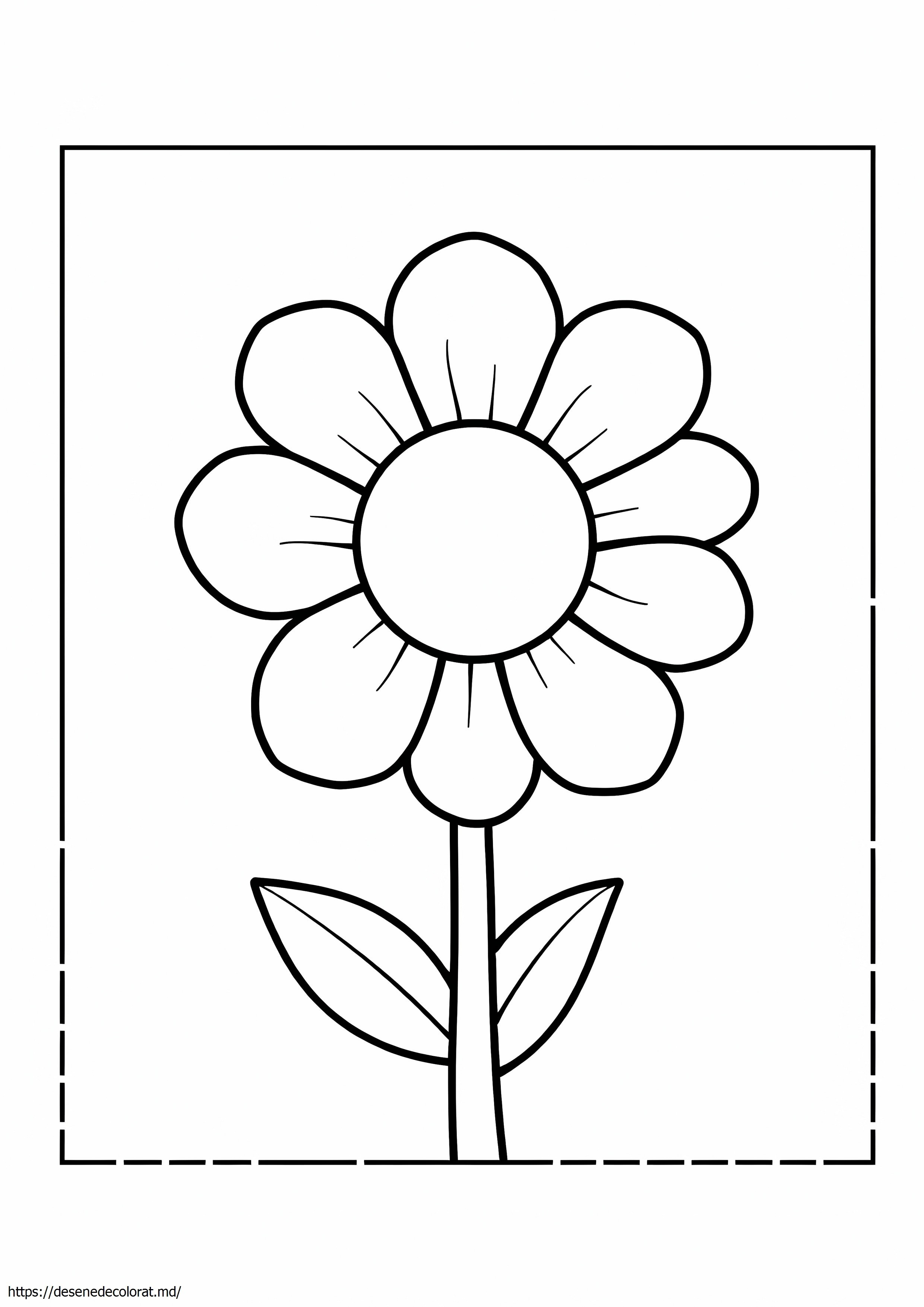 Floare 8x20