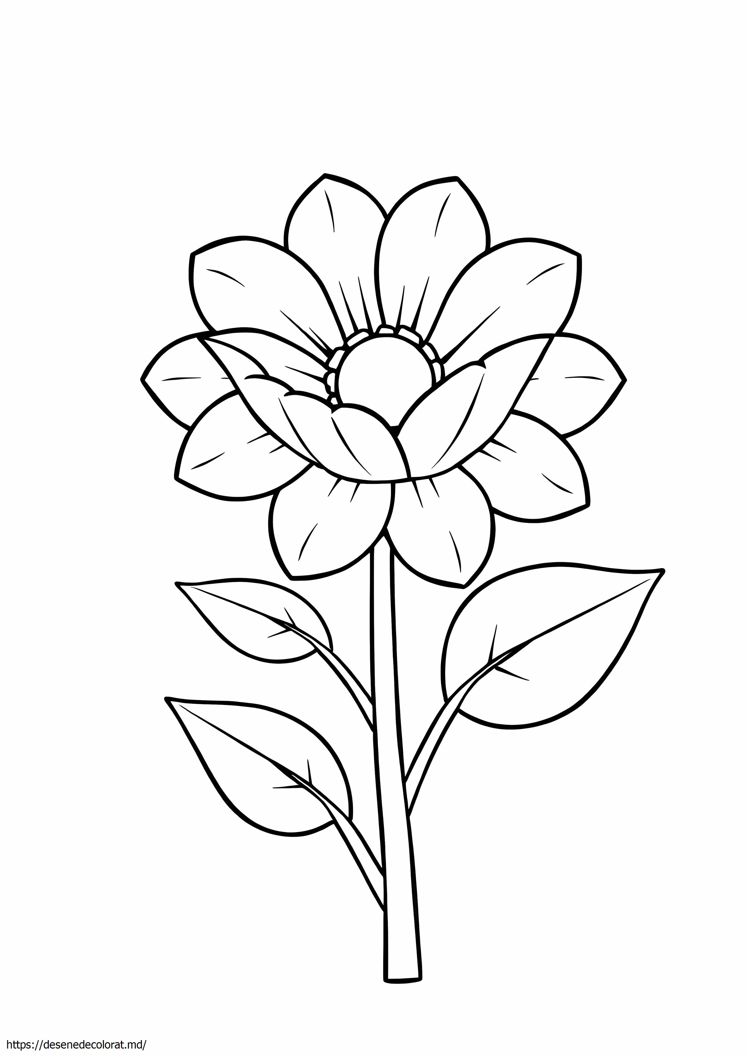 Floare rece